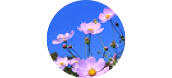 患者さんと家族のための情報