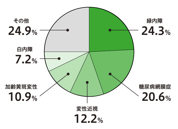 送料無料 通販 激安 VISION | 加齢性の眼の病気 100 網膜ドットコム | 健康+医学