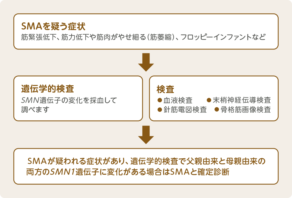 SMAの診断の流れ