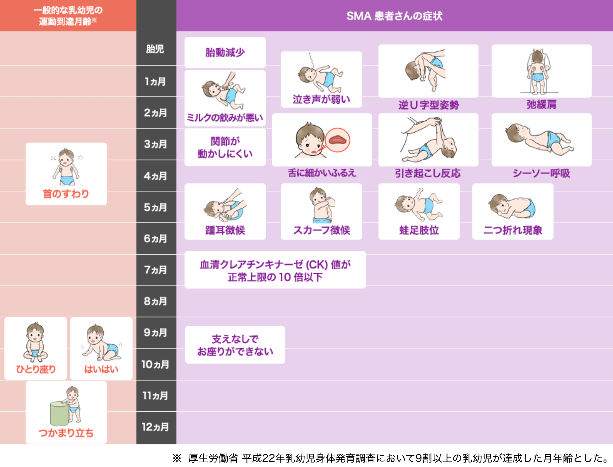 一般的な乳幼児の運動到達月齢とⅠ型SMA患者さんの各症状の発症時期