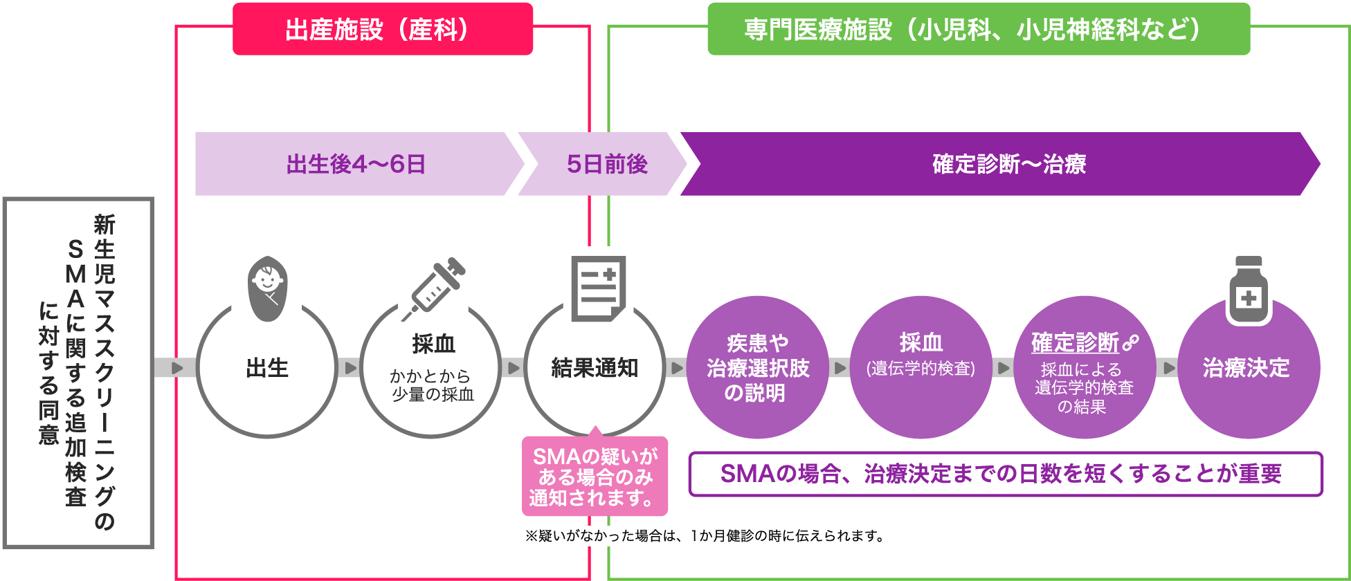 一般的な新生児マススクリーニングのSMAに関する追加検査から治療決定までの流れ