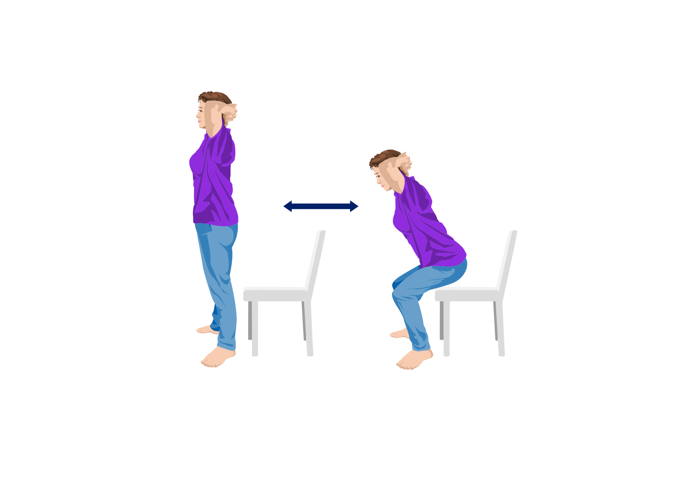 イラスト：高コレステロール血症の運動：おうちでできる椅子を使った運動、椅子スクワット