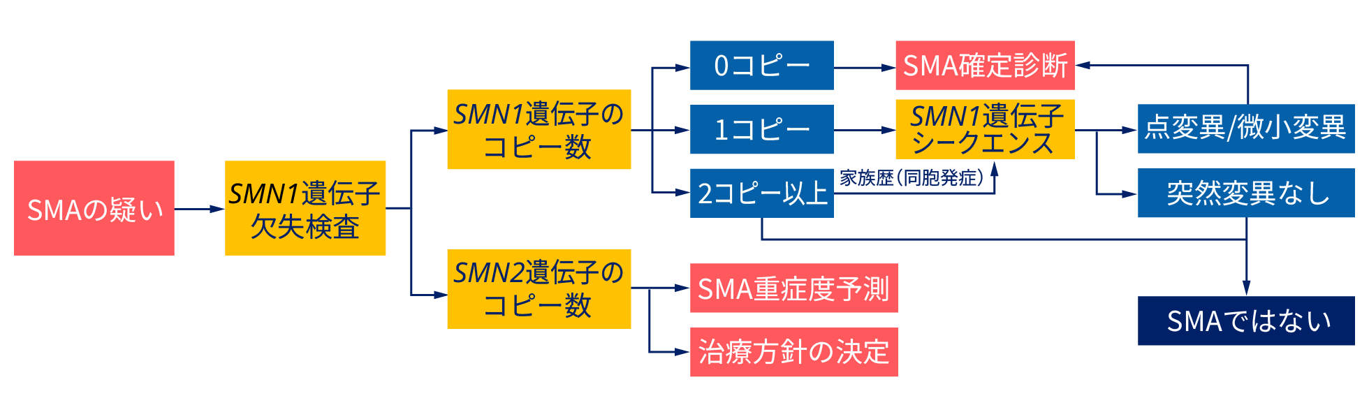SMA確定診断のフローチャート