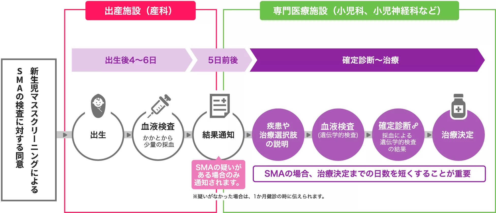 一般的な新生児マススクリーニングのSMAに関する追加検査から治療決定までの流れ