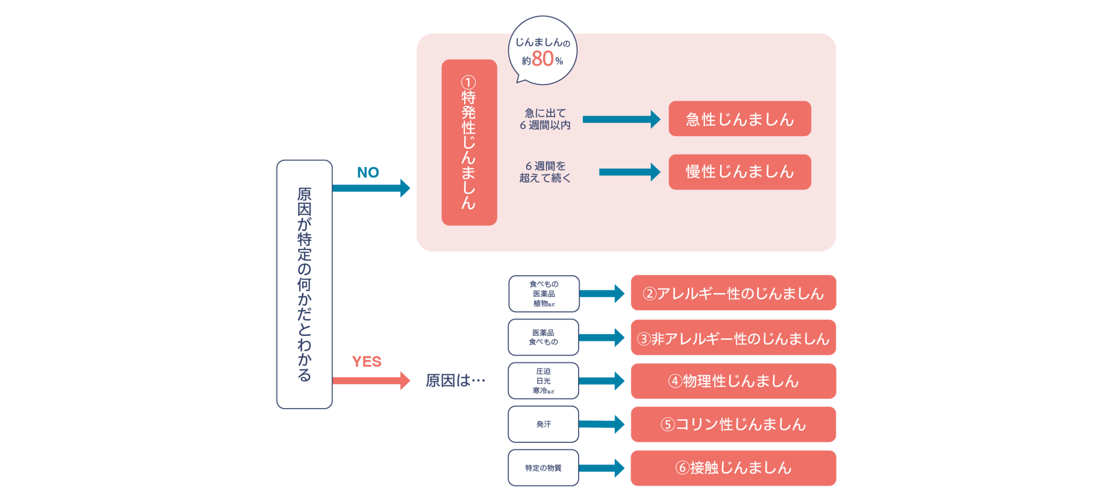 フローチャート：私はどれ？じんましんのいろいろ