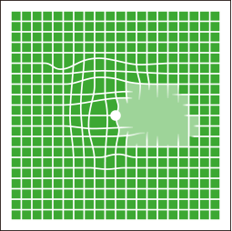 ビジョンチェック(欠けて見える)