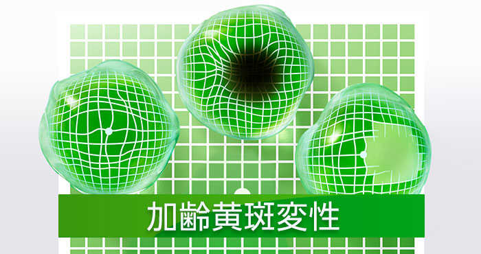 VISION 100 | 網膜ドットコム | ノバルティス ヘルスケア | ノバルティス ファーマ株式会社