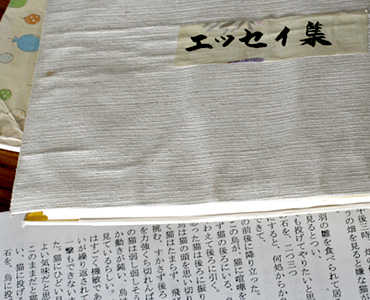 病気について調べたら、恐ろしいことばかり書いてあった