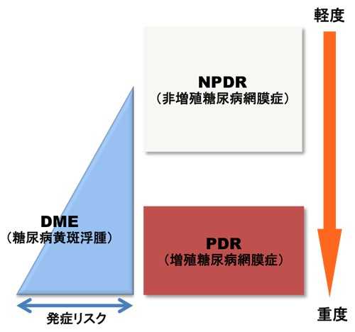 糖尿病網膜症と糖尿病黄斑浮腫の発症リスクの関係図