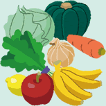 イメージ：カボチャ、キャベツ、ニンジン、タマネギ、ホウレンソウ、レモン、リンゴ、バナナのイラスト