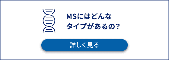 MSにはどんなタイプがあるの？