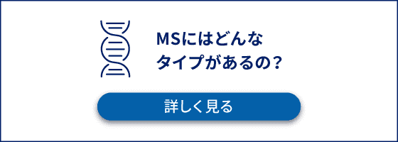 MSにはどんなタイプがあるの？