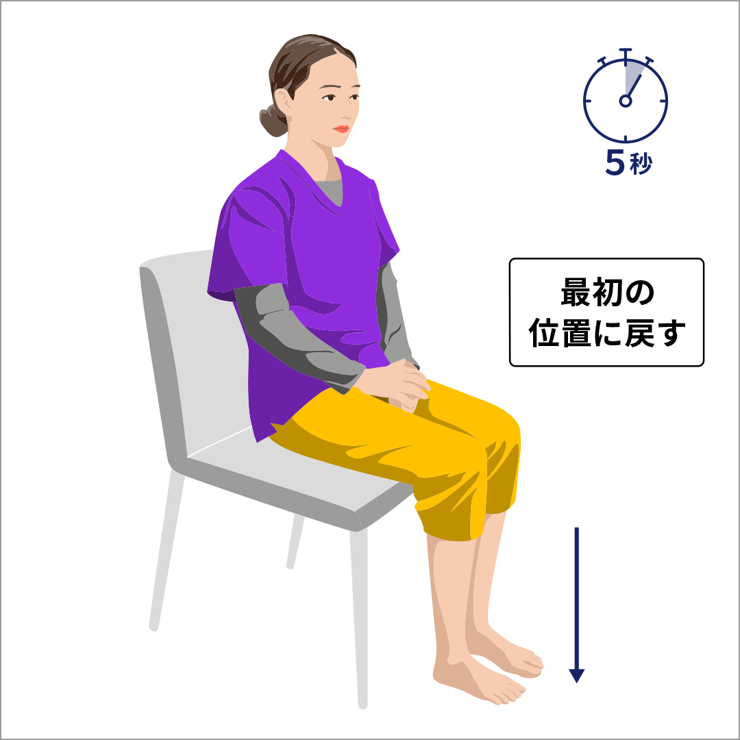 股関節の付け根の筋肉②